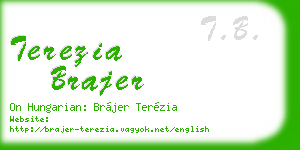terezia brajer business card