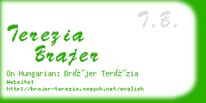 terezia brajer business card